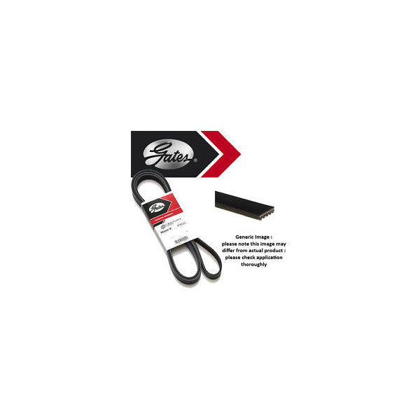 Drive Belt image