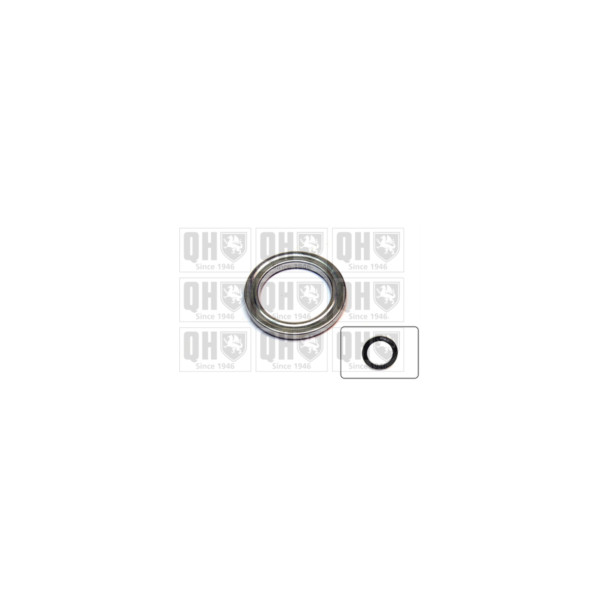 Strut Mount Bearing image