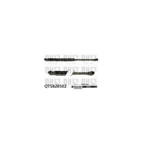Gas Spring image