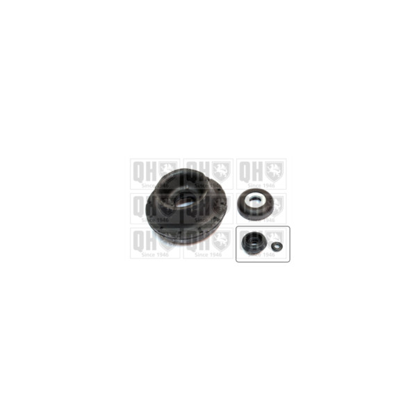 Suspension Strut Repair Kit image