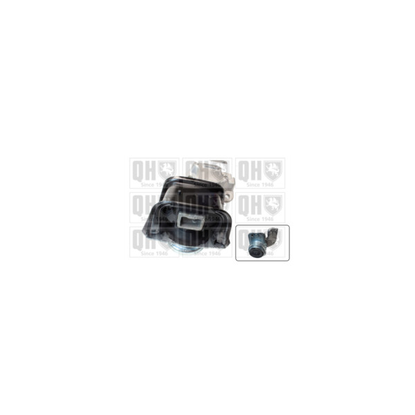 Engine/Transmission Bush/Mount image