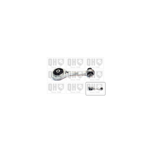 Engine/Transmission Bush/Mount image