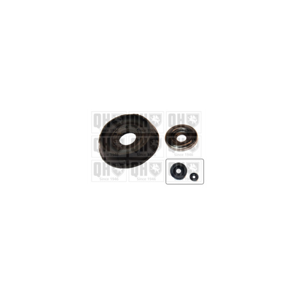Suspension Strut Repair Kit image