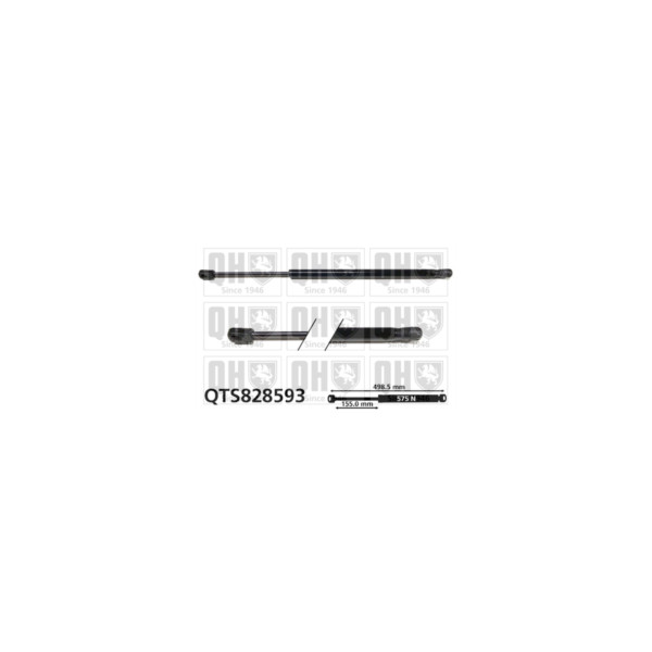 Gas Spring image