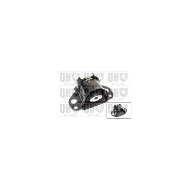 Engine/Transmission Bush/Mount image
