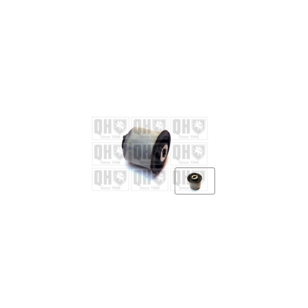 Engine/Transmission Bush/Mount image