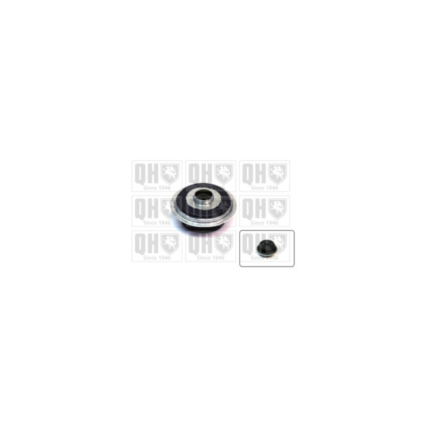 Strut Mount image