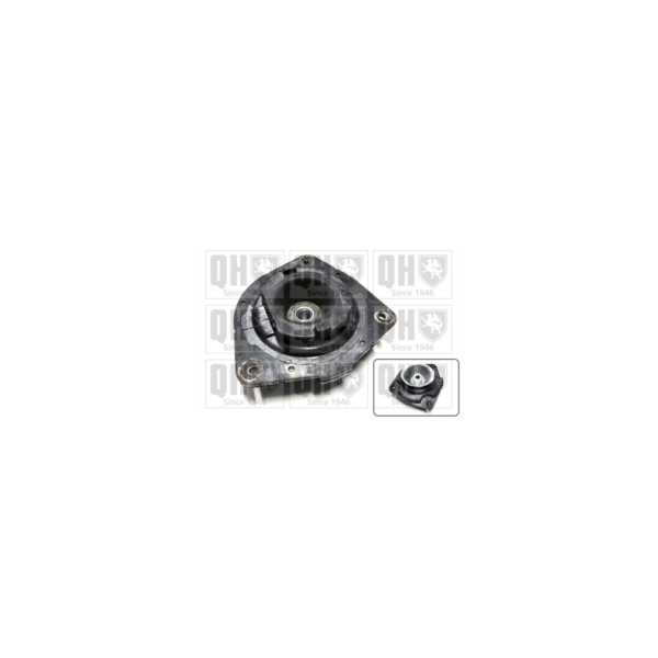 Strut Mount image