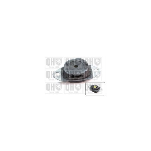 Engine/Transmission Bush/Mount image