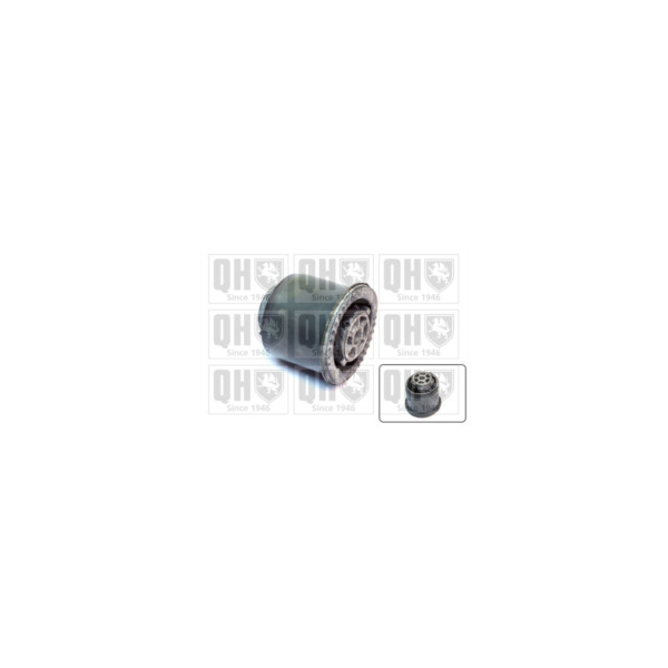 Engine/Transmission Bush/Mount image