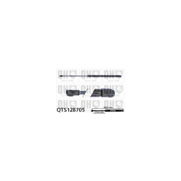 Gas Spring image