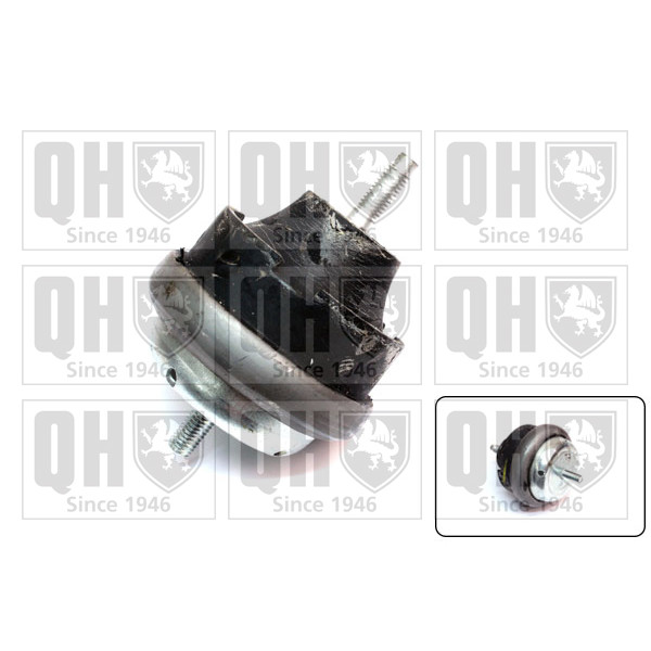 Engine/Transmission Bush/Mount image
