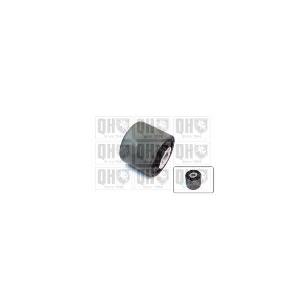 Engine/Transmission Bush/Mount image