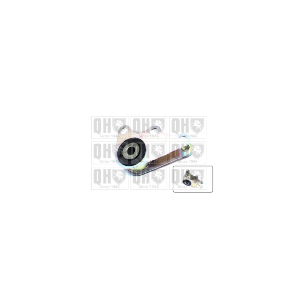 Engine/Transmission Bush/Mount image
