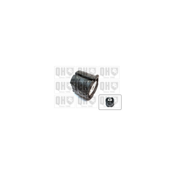 Engine/Transmission Bush/Mount image