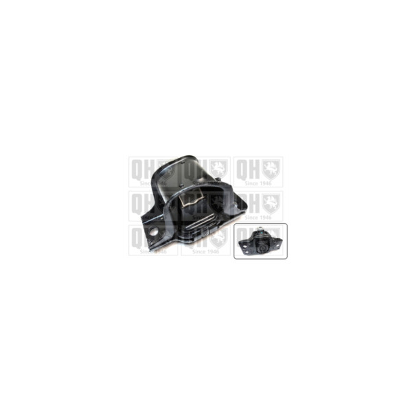 Engine/Transmission Bush/Mount image