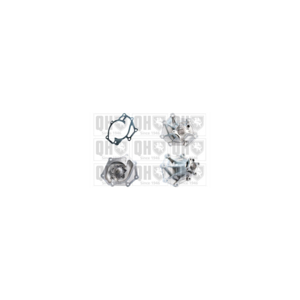 Water Pump image