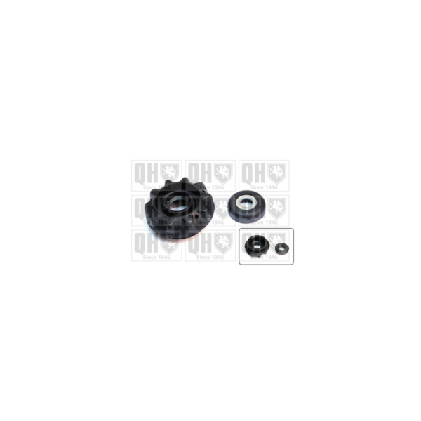 Suspension Strut Repair Kit image