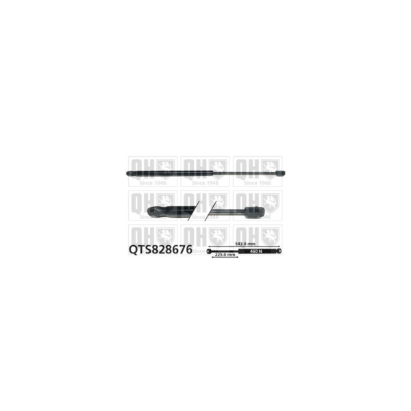 Gas Spring image