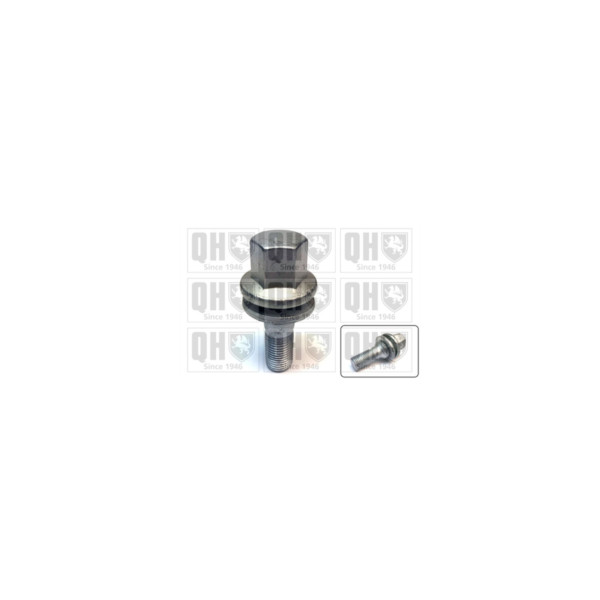 Wheel Bolt/Nut image