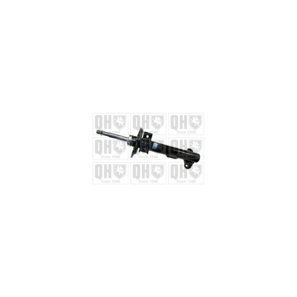Shock Absorber image