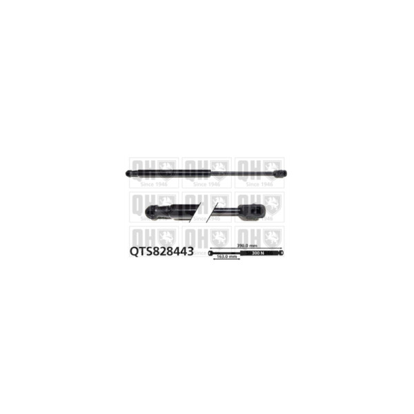 Gas Spring image