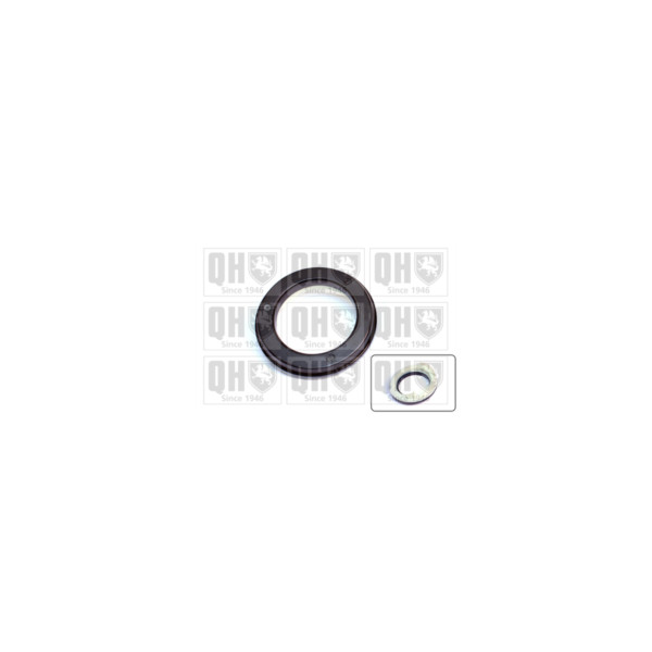 Strut Mount Bearing image