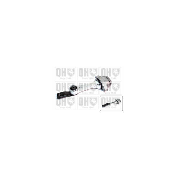 Engine/Transmission Bush/Mount image