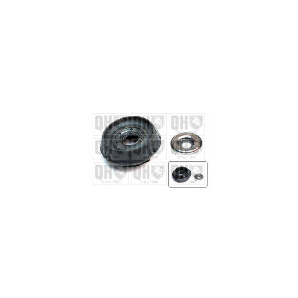Suspension Strut Repair Kit image