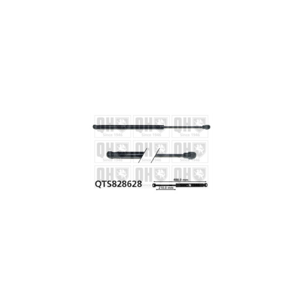 Gas Spring image