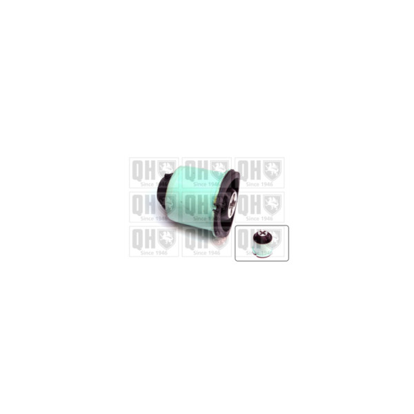 Engine/Transmission Bush/Mount image
