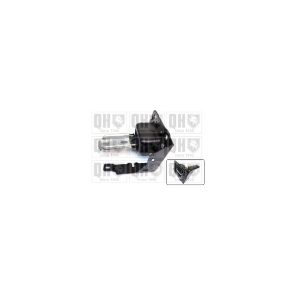 Engine/Transmission Bush/Mount image