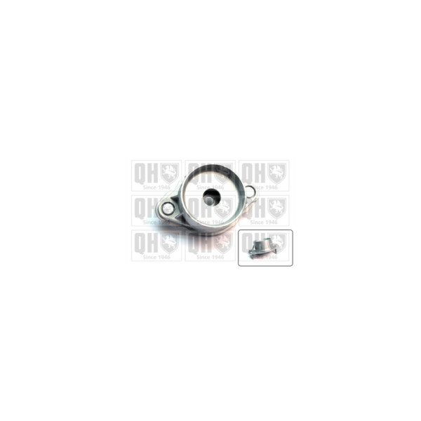 Strut Mount image