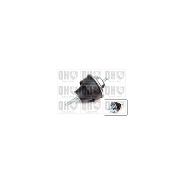 Engine/Transmission Bush/Mount image