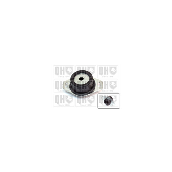 Engine/Transmission Bush/Mount image
