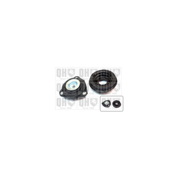Suspension Strut Repair Kit image