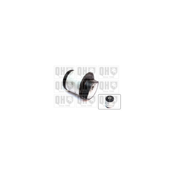 Engine/Transmission Bush/Mount image