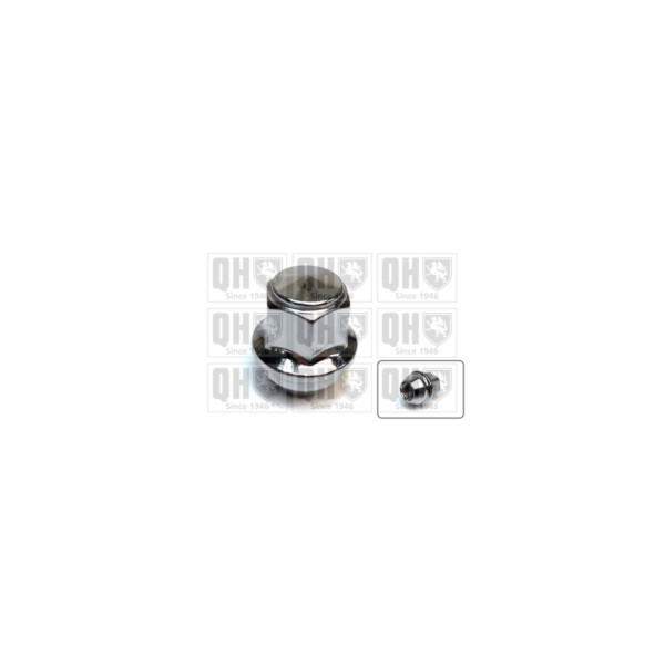 Wheel Bolt/Nut image