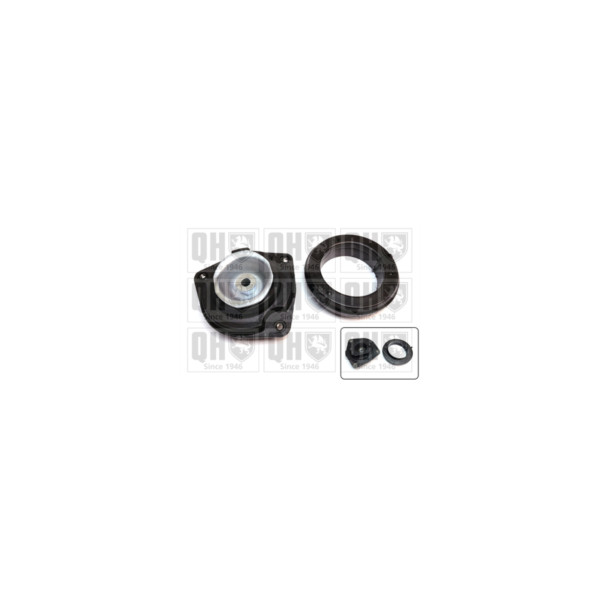 Suspension Strut Repair Kit image