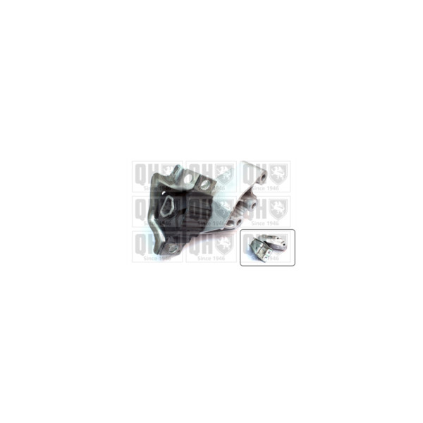 Engine/Transmission Bush/Mount image