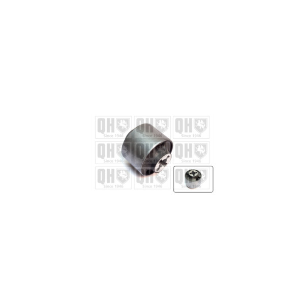 Engine/Transmission Bush/Mount image