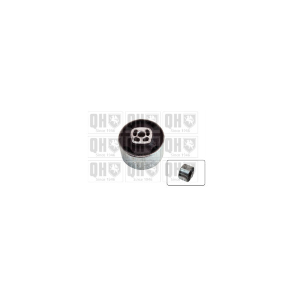 Engine/Transmission Bush/Mount image