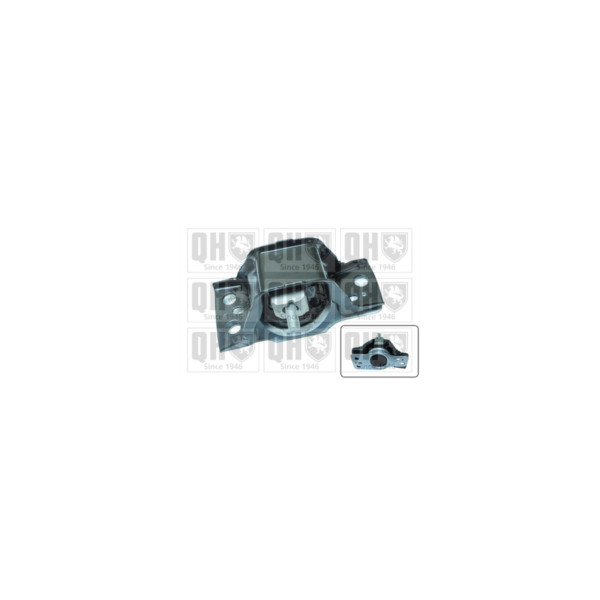 Engine/Transmission Bush/Mount image