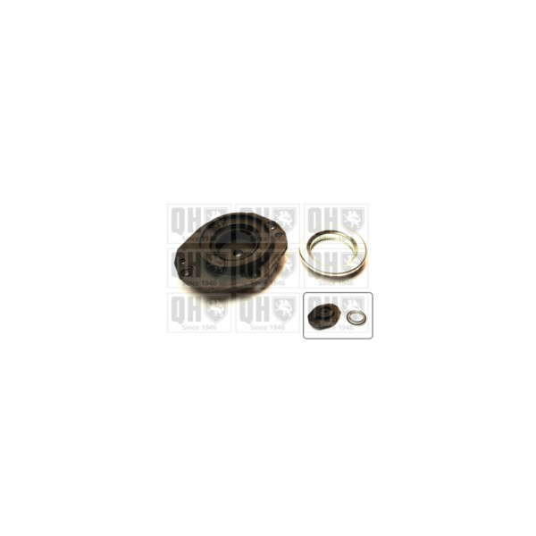 Suspension Strut Repair Kit image