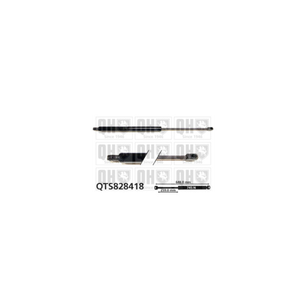 Gas Spring image