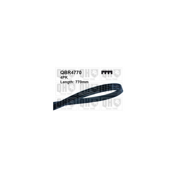 Drive Belt image