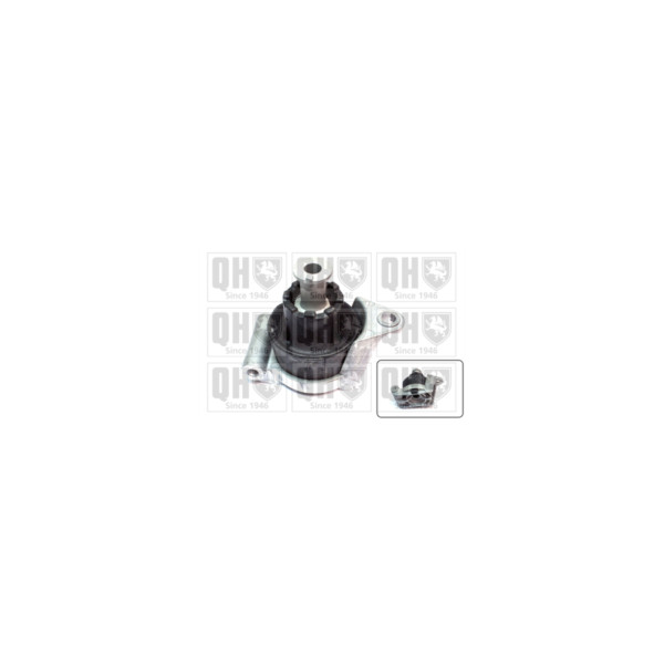 Engine/Transmission Bush/Mount image