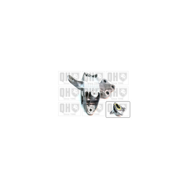 Engine/Transmission Bush/Mount image