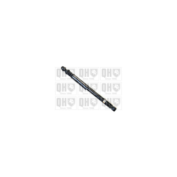 Shock Absorber image