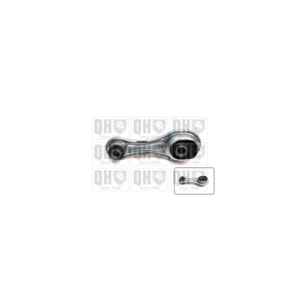 Engine/Transmission Bush/Mount image